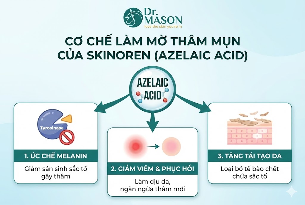 cơ chế trị thâm của skinoren
