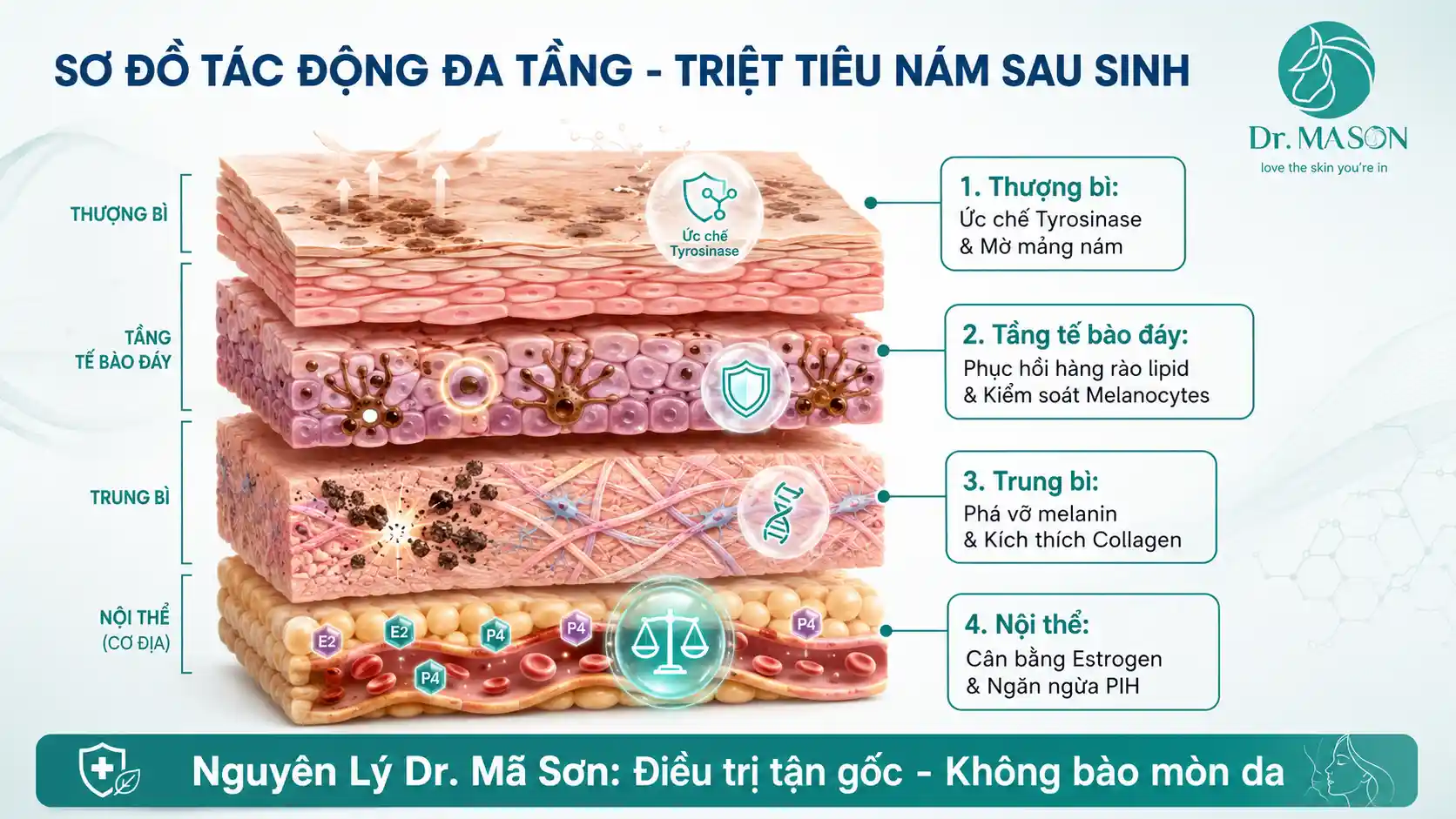 Sơ đồ cơ chế tác động đa tầng trị nám sau sinh