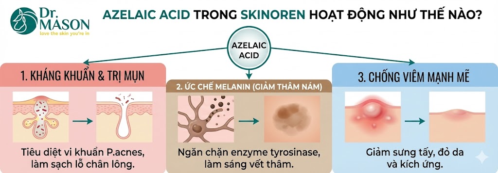 tác dụng skinoren