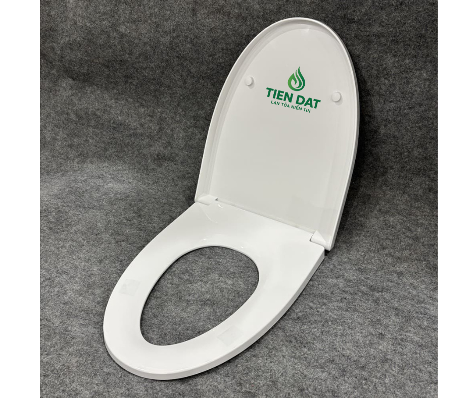 nắp bồn cầu inax nắp bồn cầu inax