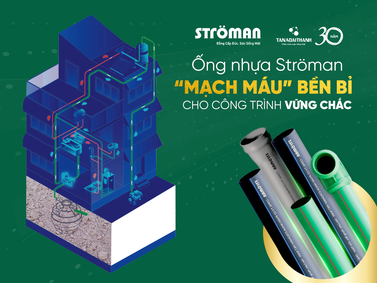 stroman tân á đại thành stroman tân á đại thành