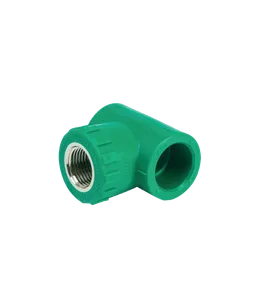 Tê ren trong PPR Stroman