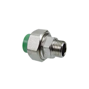 Rắc co ren ngoài đồng PPR