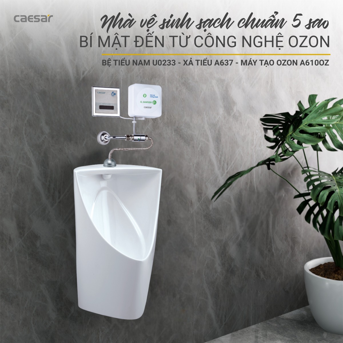 bệ tiểu caesar bệ tiểu caesar