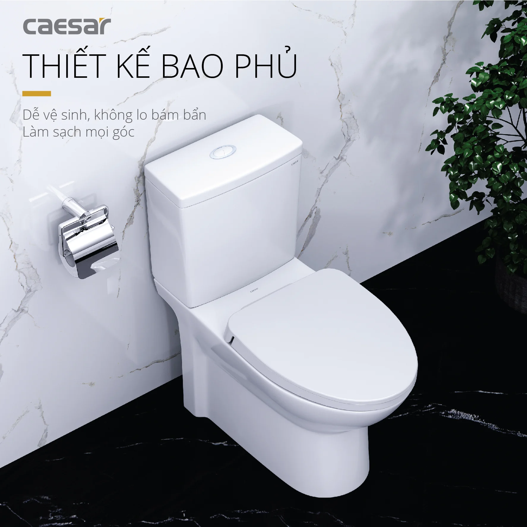 bồn cầu 2 khối caesar bồn cầu 2 khối caesar