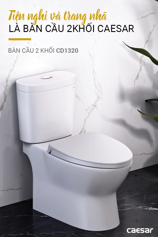 bồn cầu 2 khối bồn cầu 2 khối