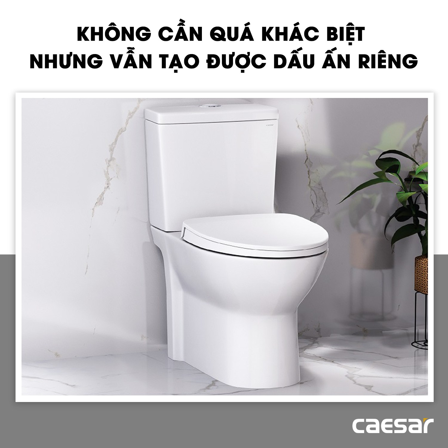 bồn cầu caesar 2 khối bồn cầu caesar 2 khối