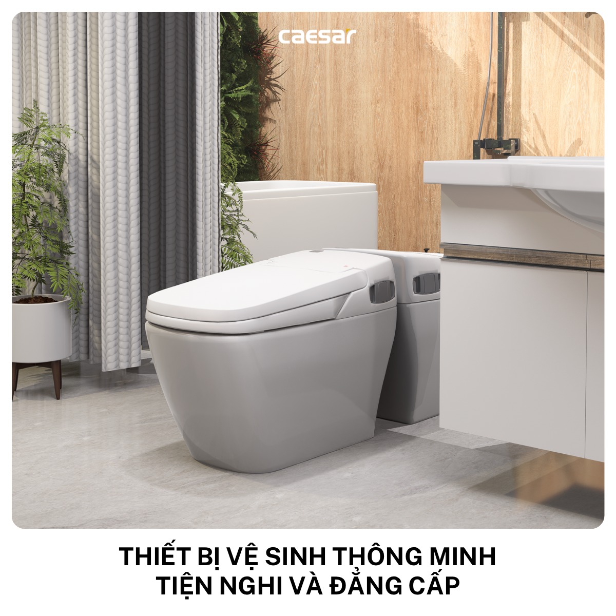bồn cầu caesar bồn cầu caesar