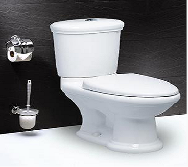 Bồn cầu hai khối-hai chế độ xả Caesar-CD1331