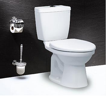 Bồn cầu hai khối-hai chế độ xả Caesar-CT1325