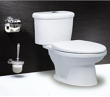 Bồn cầu hai khối-một chế độ xả Caesar-CTS1338