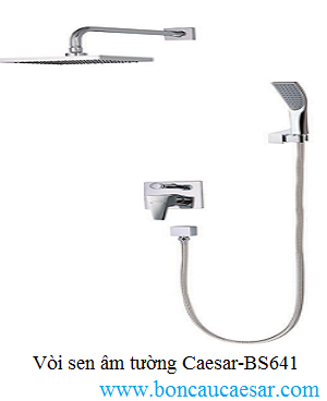 Vòi sen âm tường Caesar-BS641