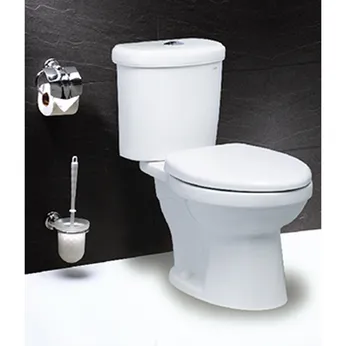 Bồn cầu hai khối-một chế độ xả Caesar CT1338