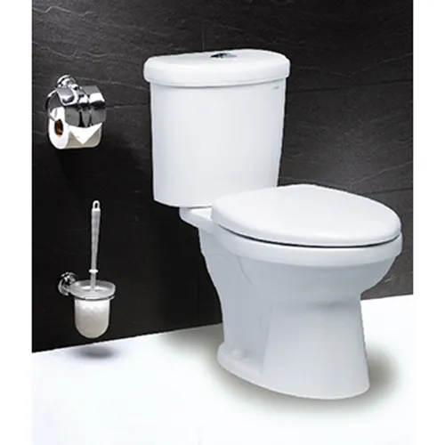 Bồn cầu hai khối-một chế độ xả Caesar CT1338