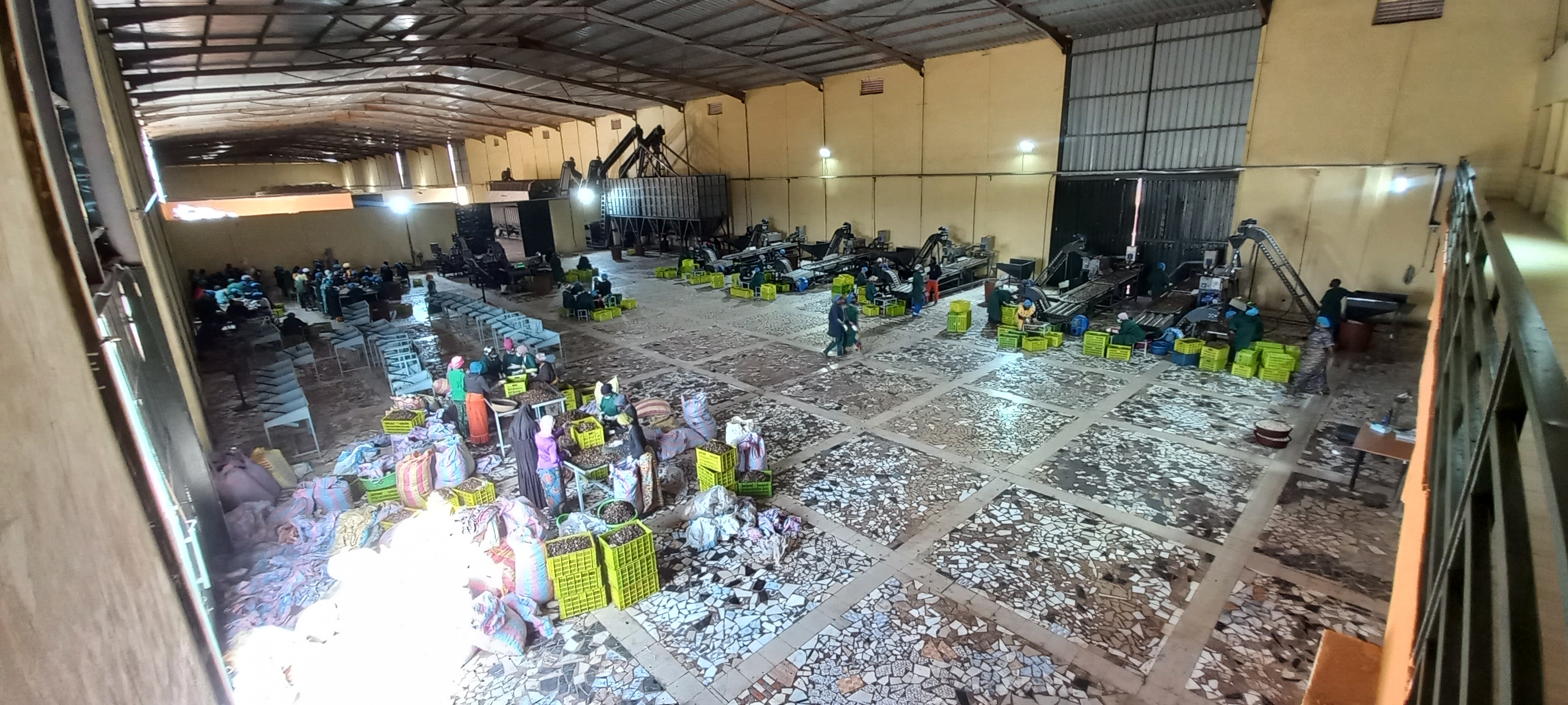 cashew shelling machine for export quality kernels cashew shelling machine for export quality kernels