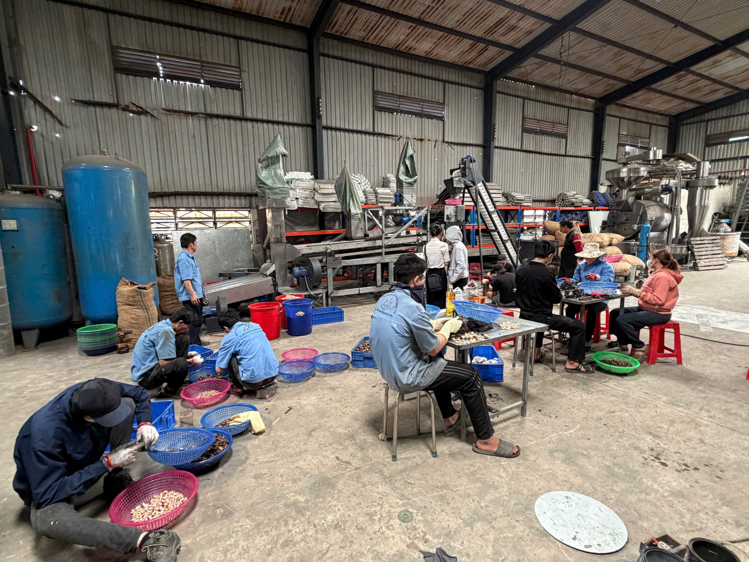 automatic cashew shelling machine automatic cashew shelling machine