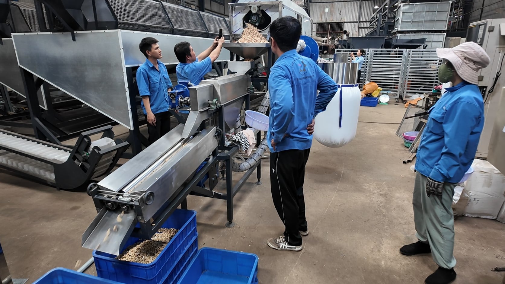 Cashew machine factory testing cashew peeling machine Cashew machine factory testing cashew peeling machine