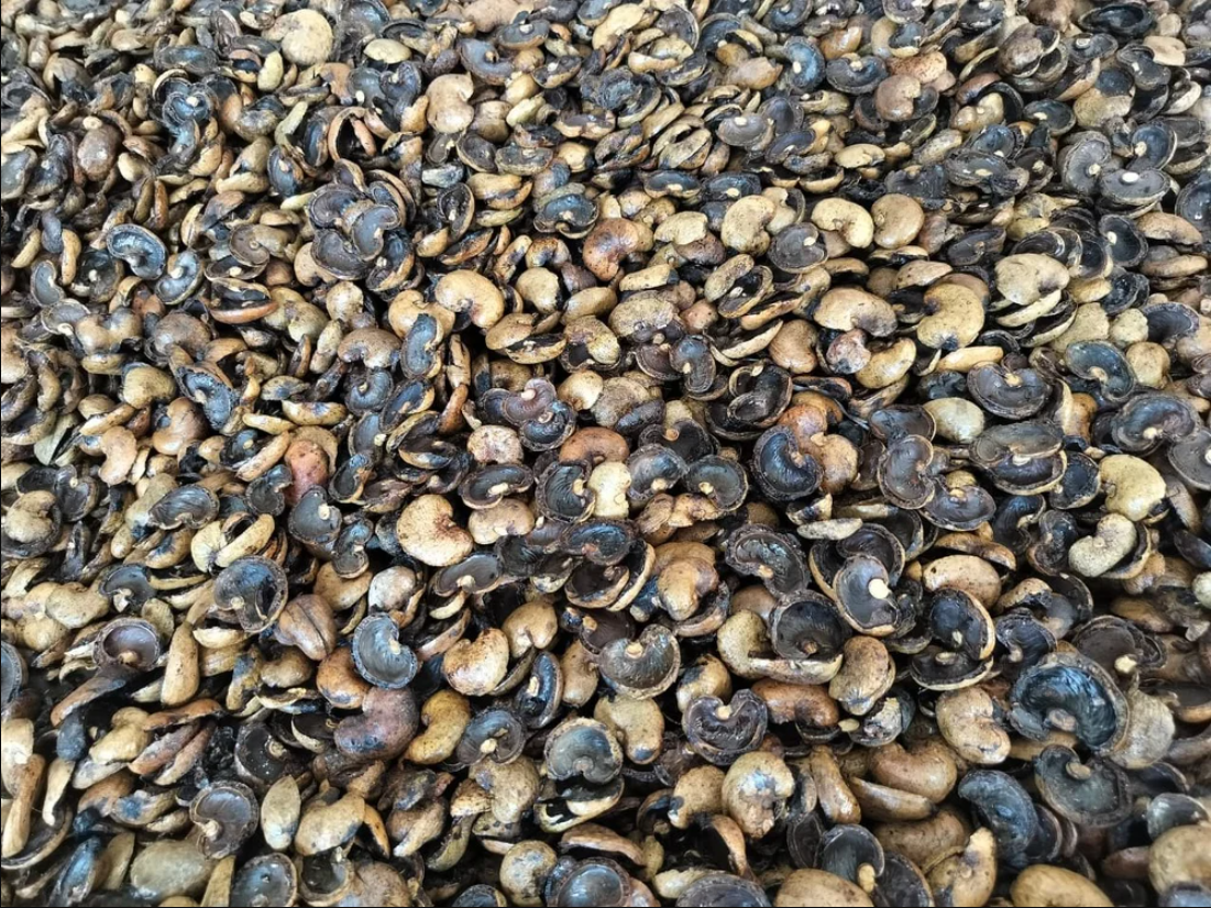 cashew-nut-shell-by-products cashew nut shells collected in a cashew processing factory for by-product use