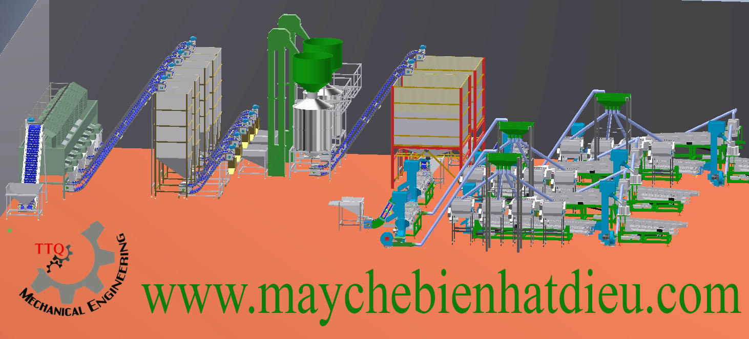 modern cashew processing line installed in a cashew processing factory