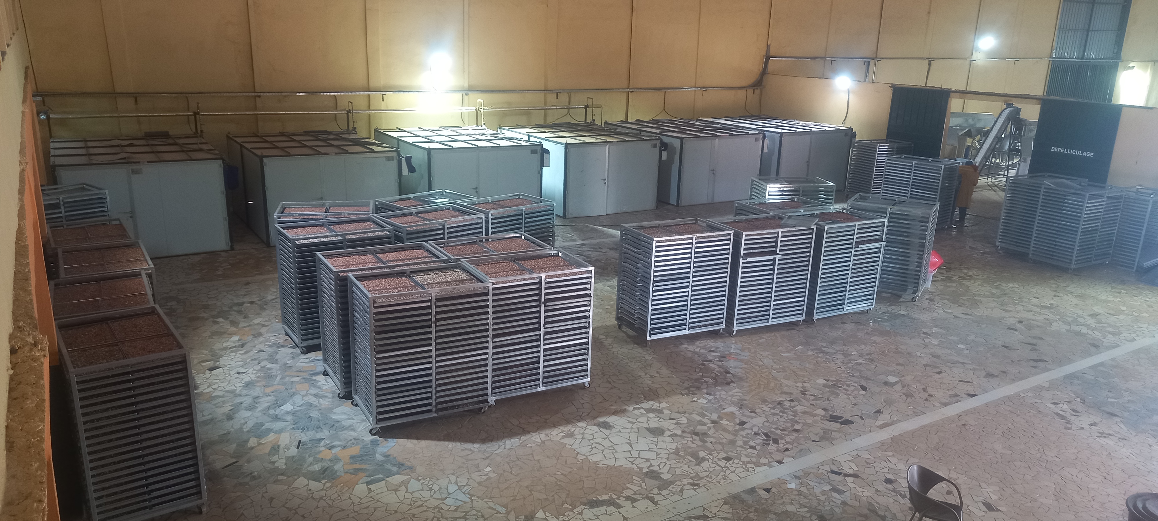 cashew-processing-plant-kernel-drying-system cashew-processing-plant-kernel-drying-system-in-cashew-nut-processing-plant