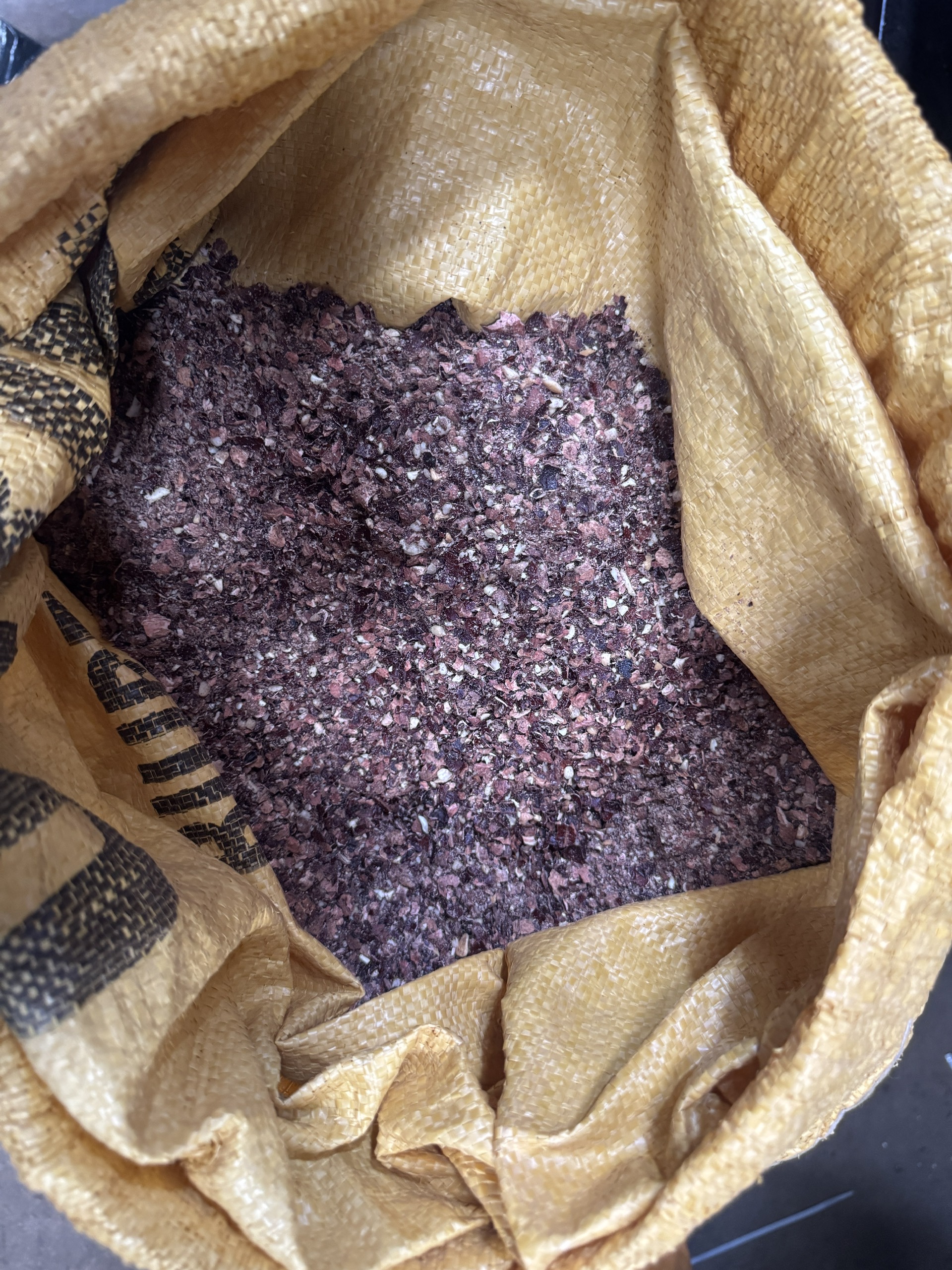 cashew-testa-by-product