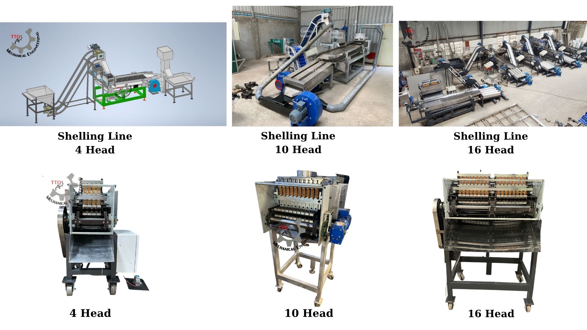 Cashew Shelling Machine