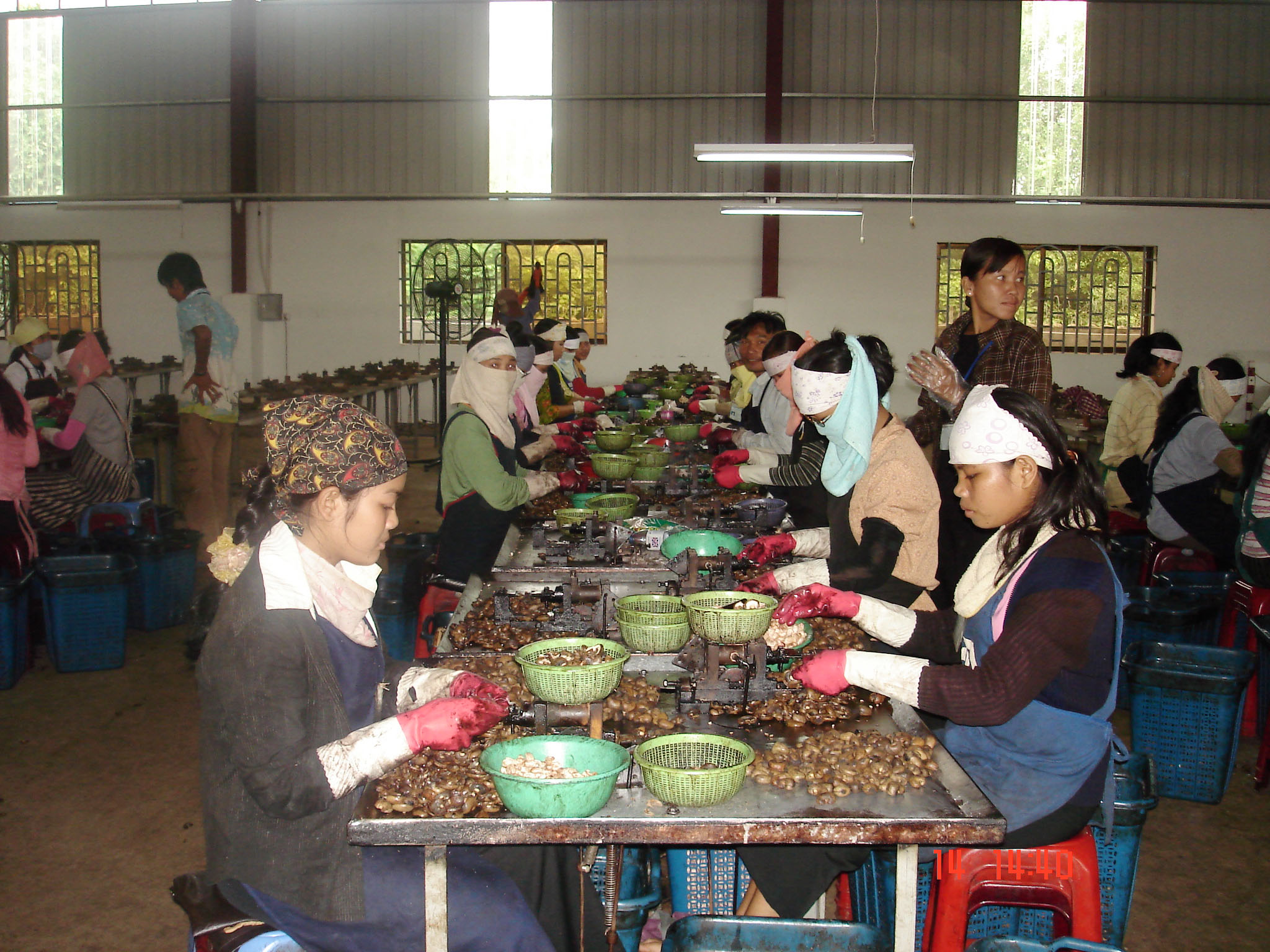 Manual Cashew Nut Shelling Machine Vietnam Manufacturer Manual Cashew Nut Shelling Machine Vietnam Manufacturer