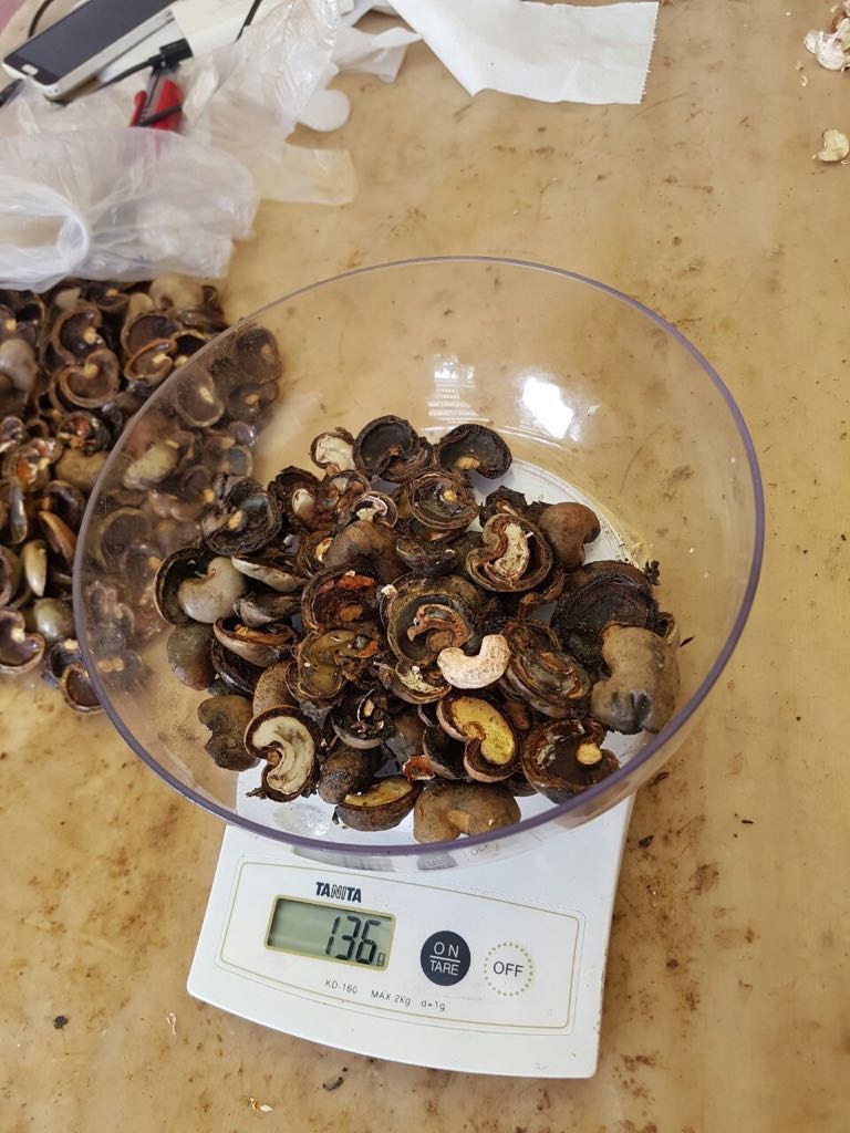 raw-cashew-nut-to-cashew-kernel-ratio-weighing-process raw-cashew-nut-to-cashew-kernel-ratio-weighing-process