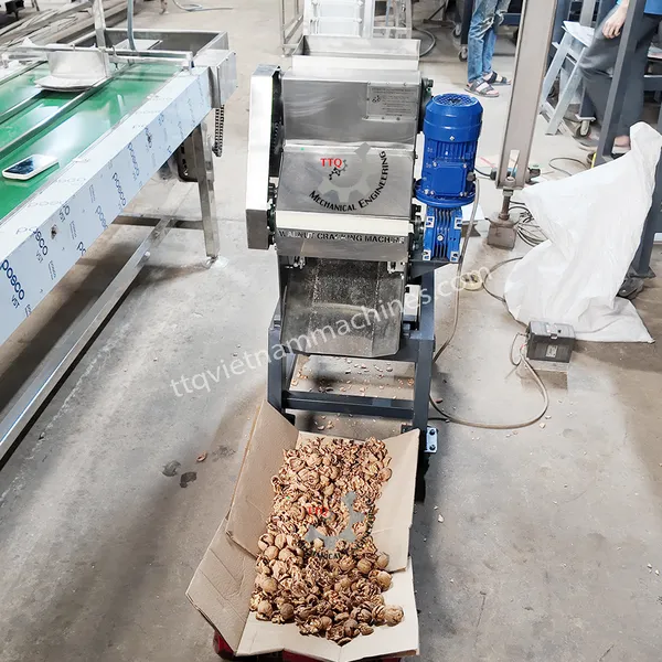 Walnut cracking machine 3 Head