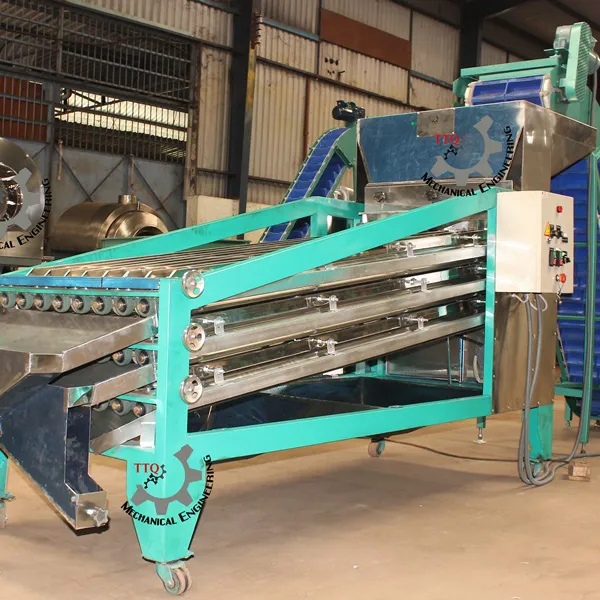 Machine de classification de noix de cajou 24 axes