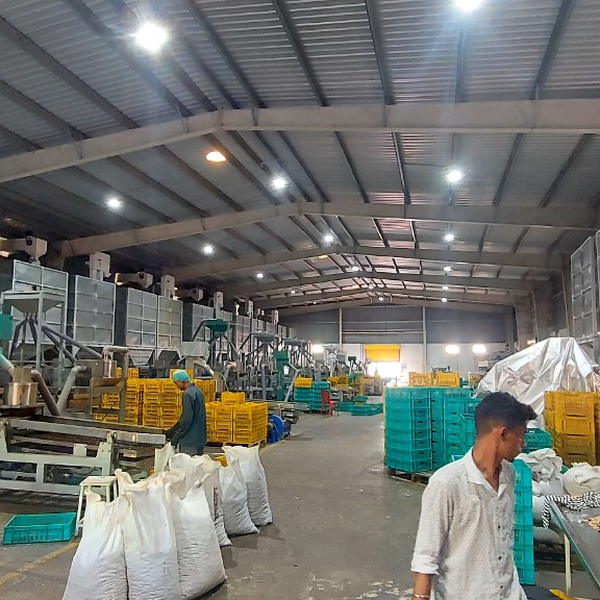 30TPD Cashew Processing Plant | White Kernel Line Vietnam