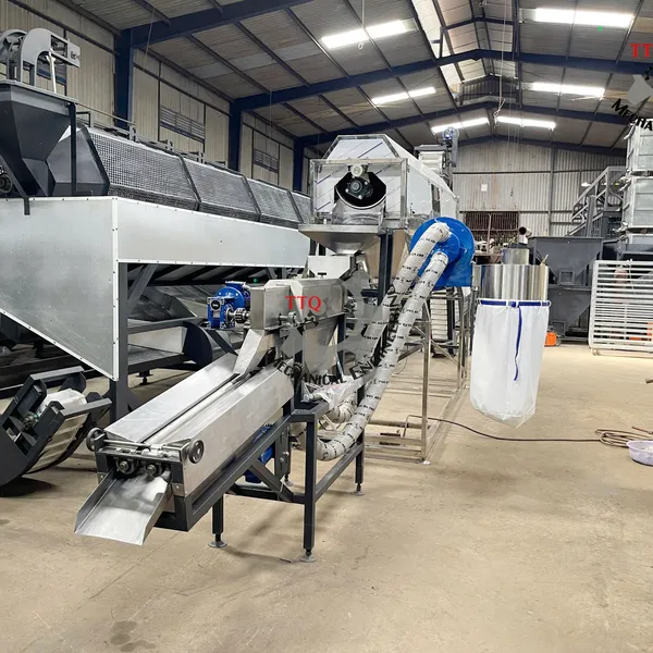 Cashew Peeling Machine 1 Head