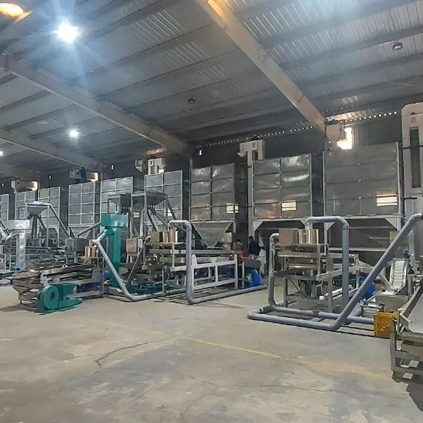 Cashew Nut Processing Plant | 2–100 Tons Per Day