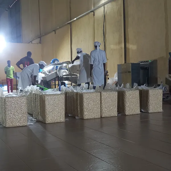 Cashew Nut Processing Plant | 2–100 Tons Per Day