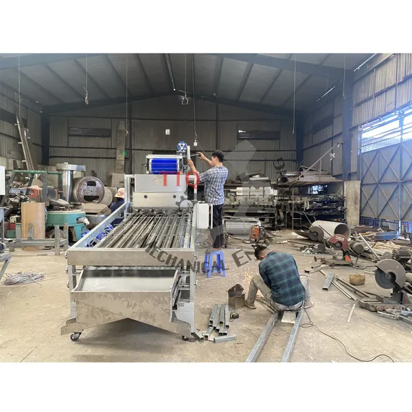 Machine de classification de noix de cajou 24 axes