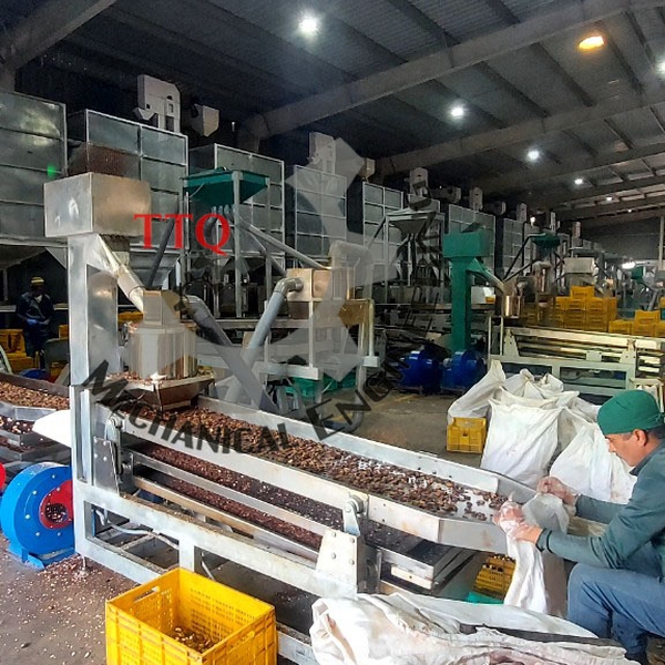 30TPD Cashew Processing Plant | White Kernel Line Vietnam