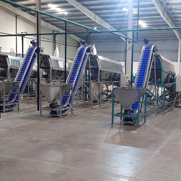 30TPD Cashew Processing Plant | White Kernel Line Vietnam