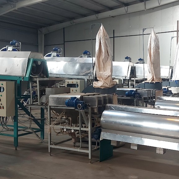 30TPD Cashew Processing Plant | White Kernel Line Vietnam