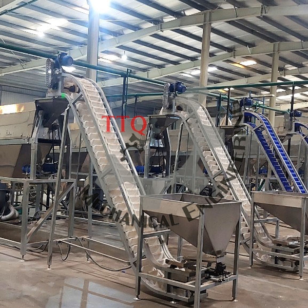 30TPD Cashew Processing Plant | White Kernel Line Vietnam