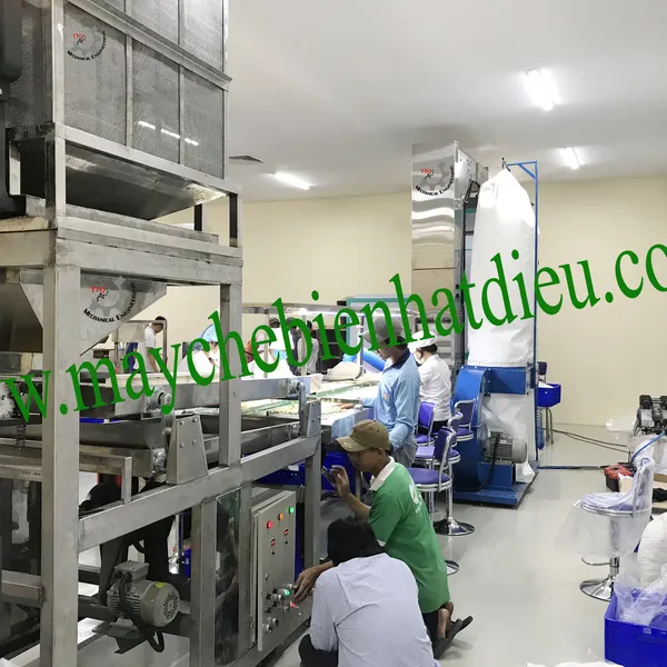 Auto Vacuum Packing Machine Line