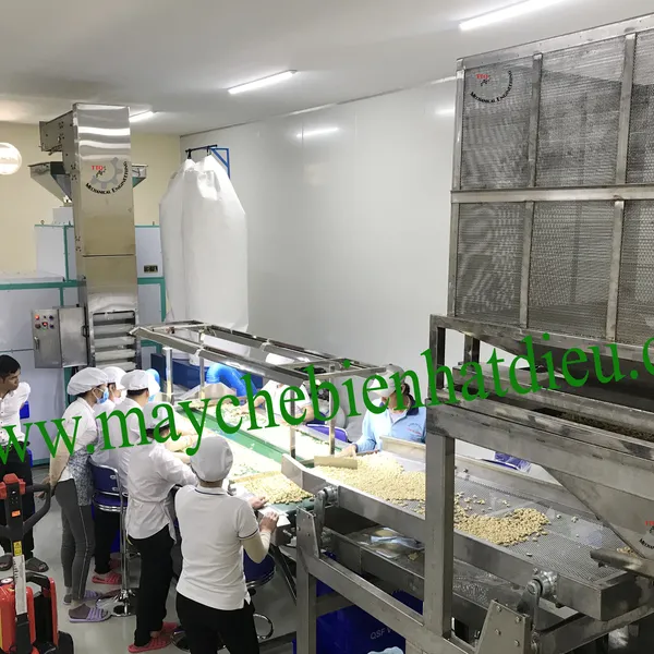 Auto Vacuum Packing Machine Line