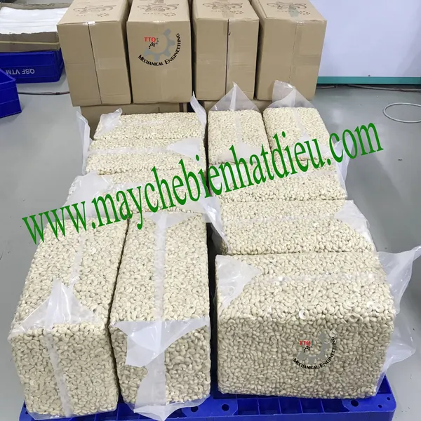 Auto Vacuum Packing Machine Line