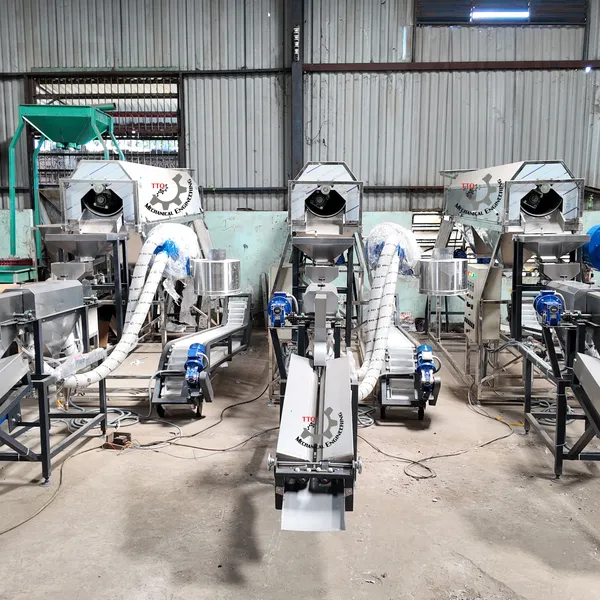 Cashew Peeling Machine 1 Head