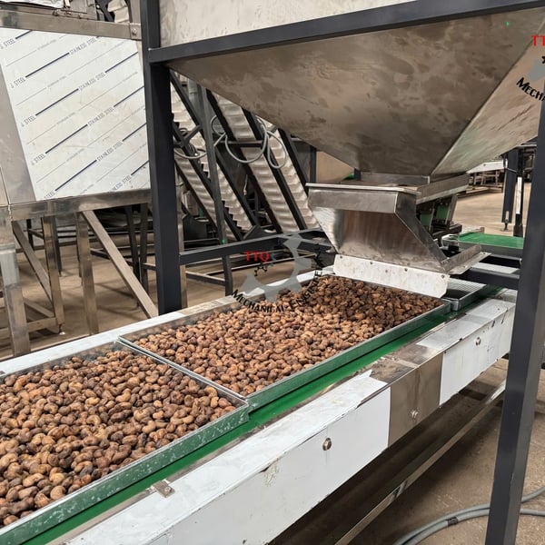 Automatic Drying Tray Feeding Line