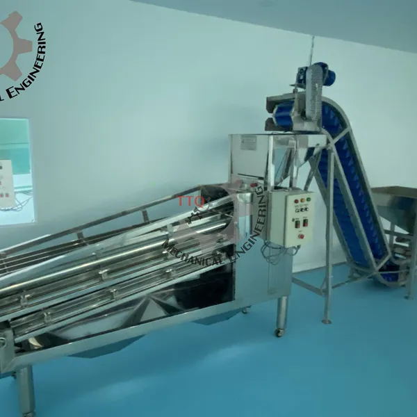 Machine de classification de noix de cajou 12 axes