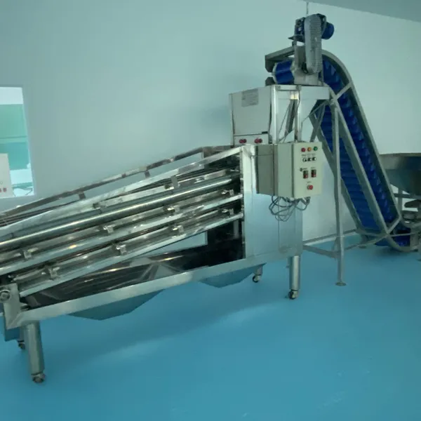 Machine de classification de noix de cajou 12 axes
