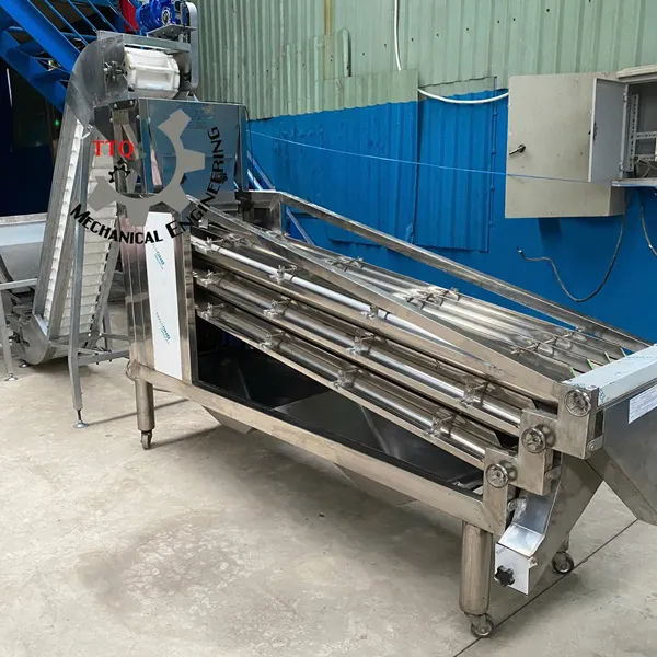Machine de classification de noix de cajou 12 axes