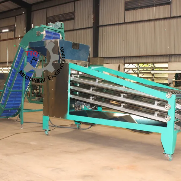 Machine de classification de noix de cajou 18 axes