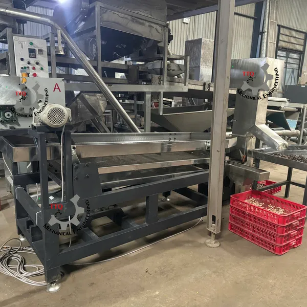 Cashew Cutting Machine 4 Head