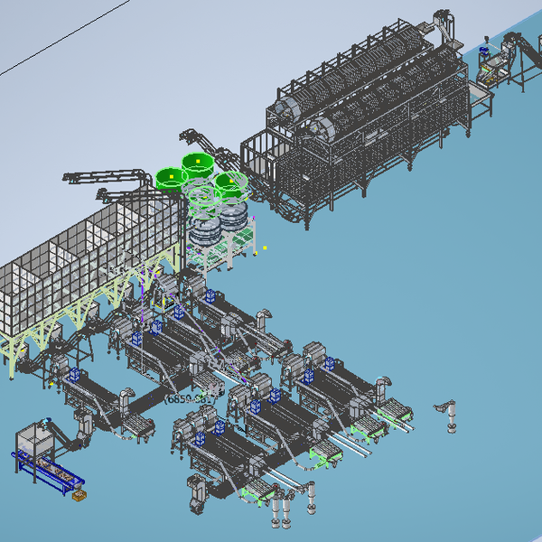 30TPD Cashew Processing Plant | White Kernel Line Vietnam